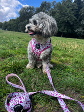 Load image into Gallery viewer, Dotty Dog Pink Harness
