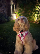 Load image into Gallery viewer, Dotty Dog Pink Harness
