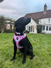 Load image into Gallery viewer, Dotty Dog Pink Harness
